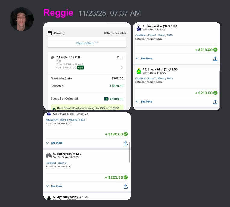 Member profit screenshot